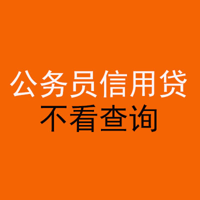 忻府公务员信用贷款
