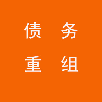 忻府个人债务重组优化